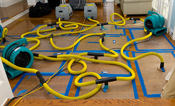 Professional Sewage Cleanup technician working in Old Bethpage, NY
